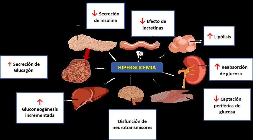 Diagnóstico del hipopituitarismo: métodos y enfoques clave 1 diagnostico del hipopituitarismo metodos y enfoques clave