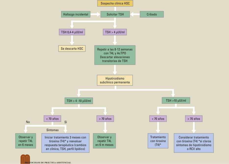 diagnostico del hipotiroidismo sintomas y pruebas clave