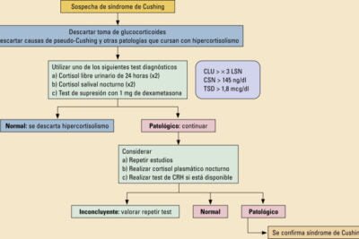 diagnostico del sindrome de cushing metodos y enfoques clinicos