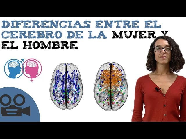 diferencias en androgenos entre hombres y mujeres un analisis