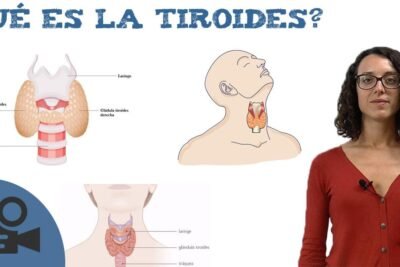 diferencias entre hipotiroidismo e hipertiroidismo explicadas