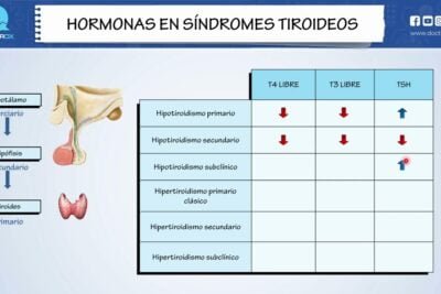 diferencias entre hipotiroidismo primario y secundario