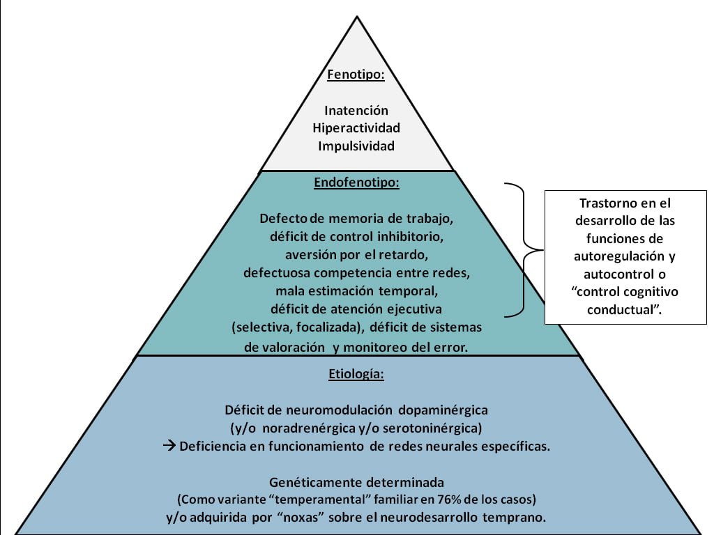 diferentes enfoques culturales hacia la hiperactividad