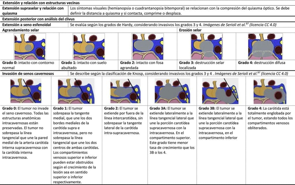 dinamicas hormonales en tumores neuroendocrinos que son