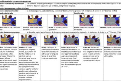 dinamicas hormonales en tumores neuroendocrinos que son