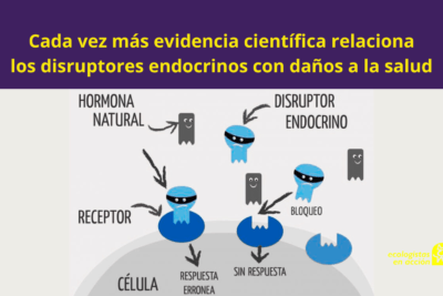 Disruptores endocrinos: efectos en la testosterona y salud 1 disruptores endocrinos efectos en la testosterona y salud