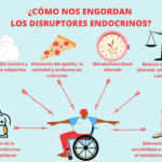 disruptores endocrinos que son y como impactan nuestra salud