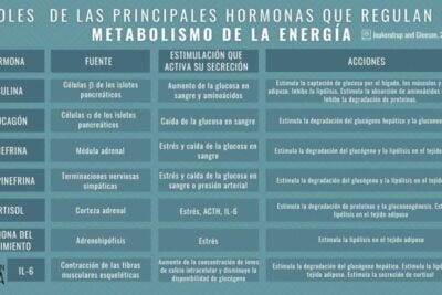 dopamina y hormonas influencias y funciones interrelacionadas