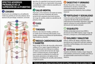 efecto de las hormonas en la pubertad y su impacto corporal