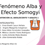 Efecto Somogyi: Impacto en la Insulina y la Diabetes