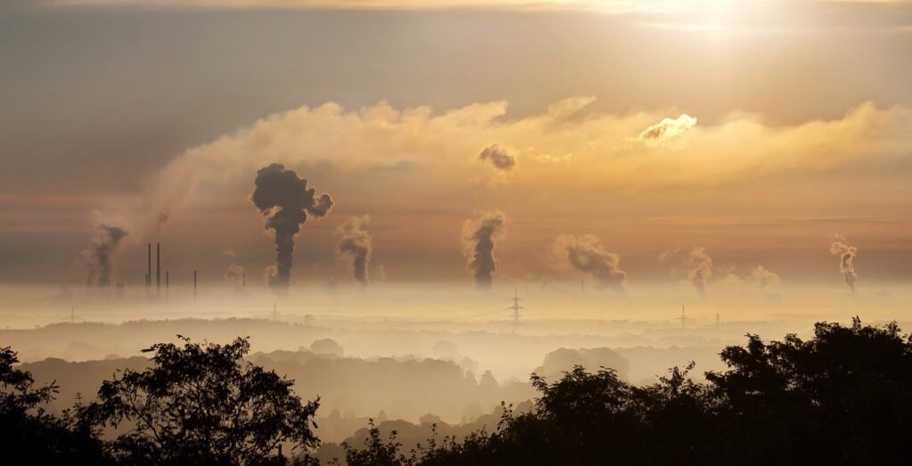 efectos de la contaminacion en la reproduccion humana y animal