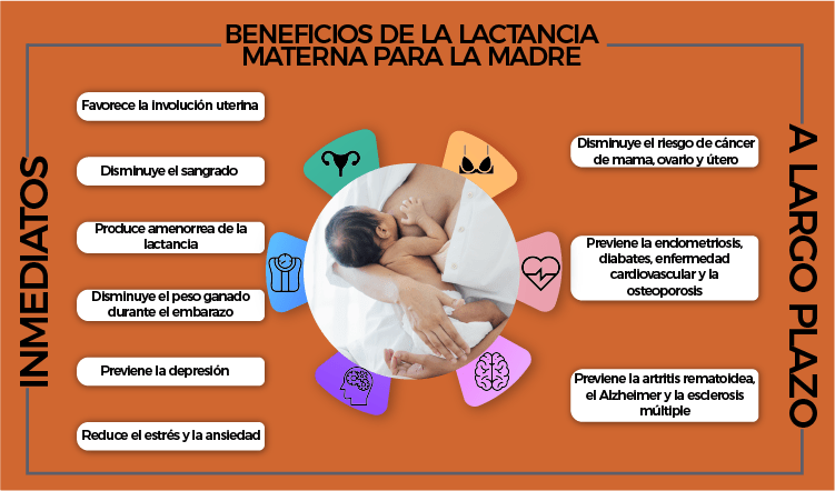 efectos de la lactancia materna en la salud hormonal femenina