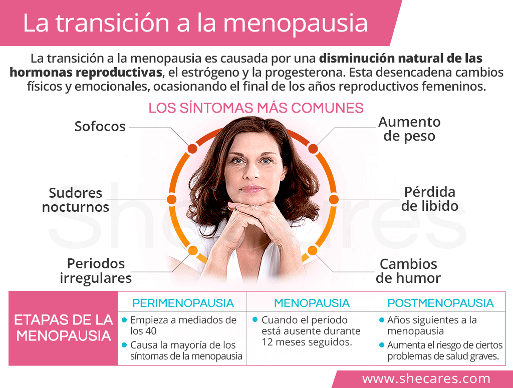 Efectos de la menopausia en la fertilidad: información clave 1 efectos de la menopausia en la fertilidad informacion clave
