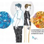 Efectos de la obesidad en la flora intestinal: Análisis detallado