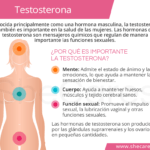 Efectos de la testosterona en la salud física y emocional