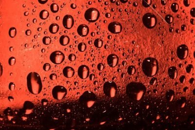 efectos del alcohol en los niveles de glucosa en sangre