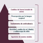 efectos psicologicos de los cambios hormonales en la salud mental