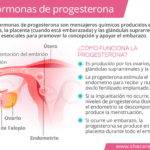 Efectos y funciones de la progesterona en mujeres posmenopáusicas