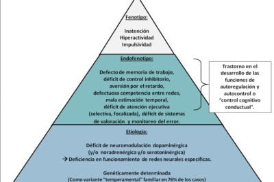 el impacto de la hipersensibilidad en la hiperactividad