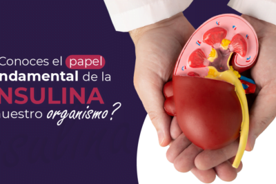 el papel clave de la insulina en la salud hormonal y metabolica