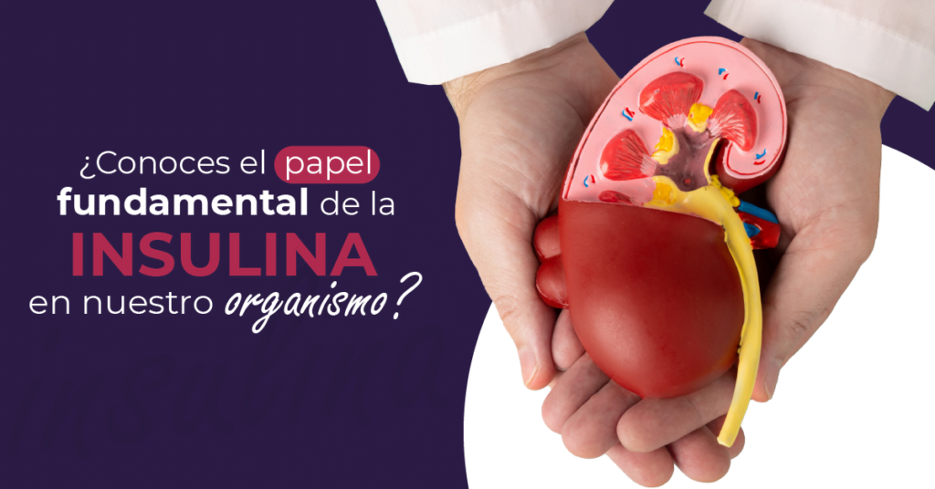 El papel crucial de la insulina en el metabolismo y la salud 1 el papel crucial de la insulina en el metabolismo y la salud