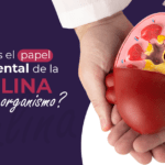 el papel crucial de la insulina en el metabolismo y la salud