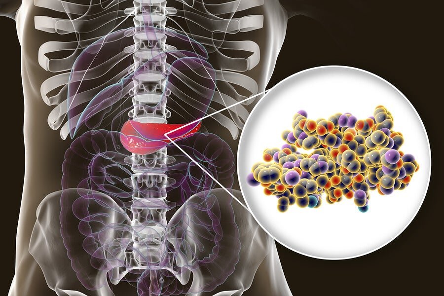 el papel de la insulina en el cuerpo y su importancia para la salud