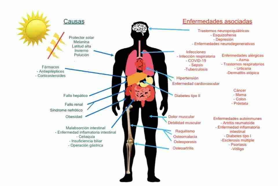 el papel de la vitamina d en enfermedades autoinmunes