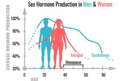 el papel de las hormonas sexuales en el cuerpo humano