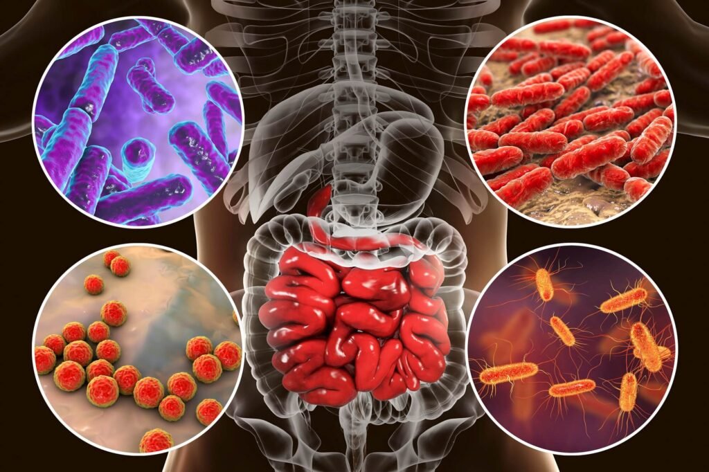 El papel del eje hormonal en la salud cardiovascular 1 el papel del eje hormonal en la salud cardiovascular