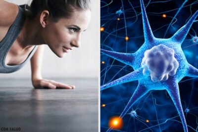 el papel del ejercicio fisico en la regulacion hormonal del cuerpo