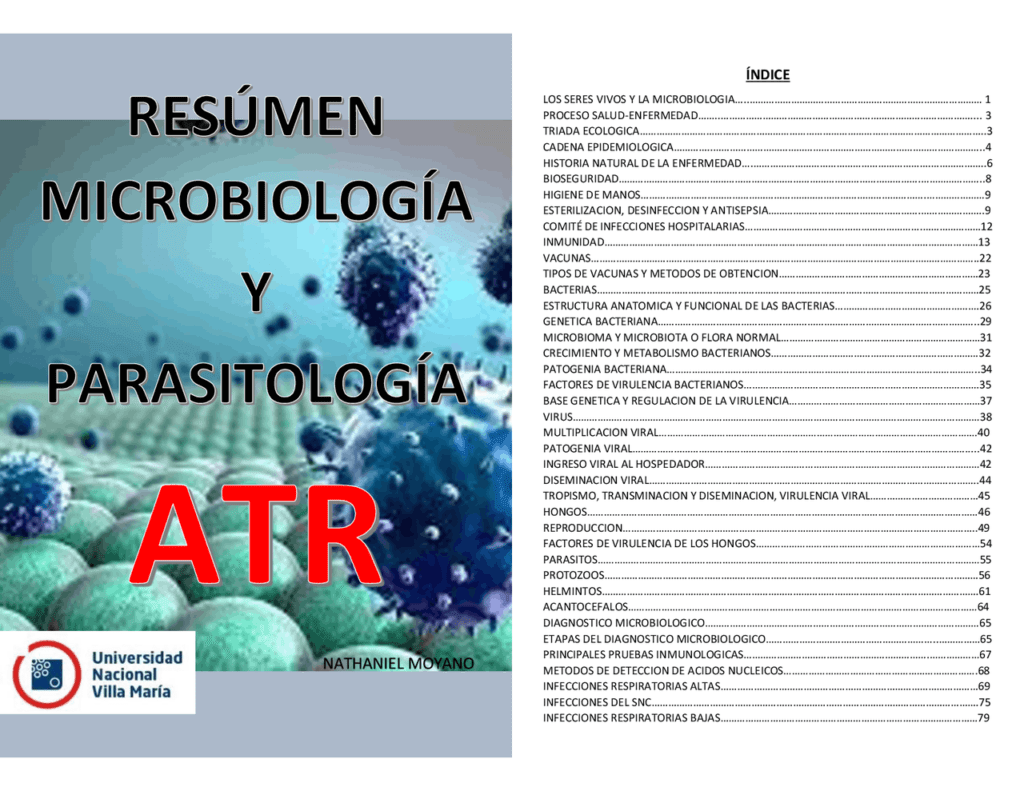 El papel del microbioma en los niveles de estrógenos explicado 1 el papel del microbioma en los niveles de estrogenos explicado