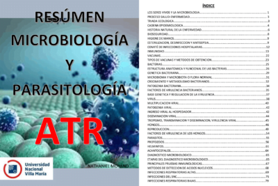el papel del microbioma en los niveles de estrogenos explicado