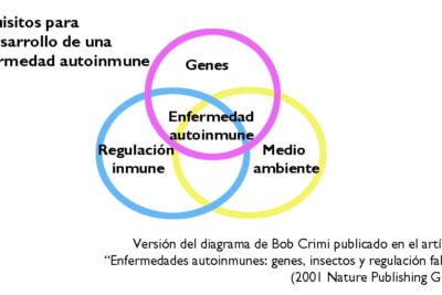 elementos clave para una charla sobre enfermedades autoinmunes