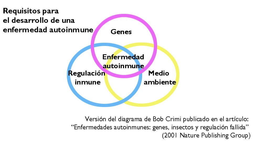 elementos clave para una charla sobre enfermedades autoinmunes