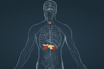 elementos perjudiciales para el equilibrio hormonal en el cuerpo