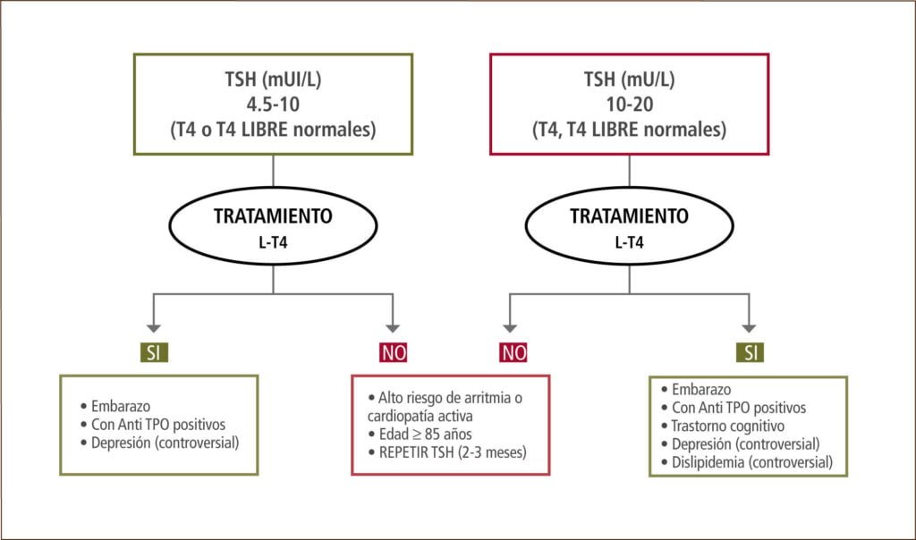 enfermedades de la tiroides tipos y enfoques de estudio