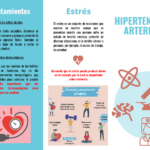 Entendiendo la hipertensión: causas, síntomas y tratamientos