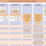 epidemiologia de la osteoporosis prevalencia y factores de riesgo