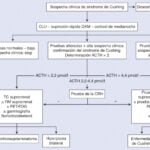 Epidemiología del síndrome de Cushing: metodología de estudio