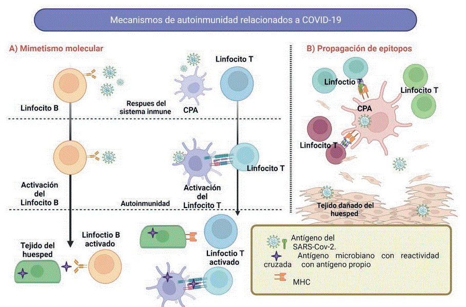 estilo de vida tras diagnostico de enfermedad autoinmune