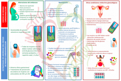 estrogenos y riesgo cardiovascular su impacto en la salud