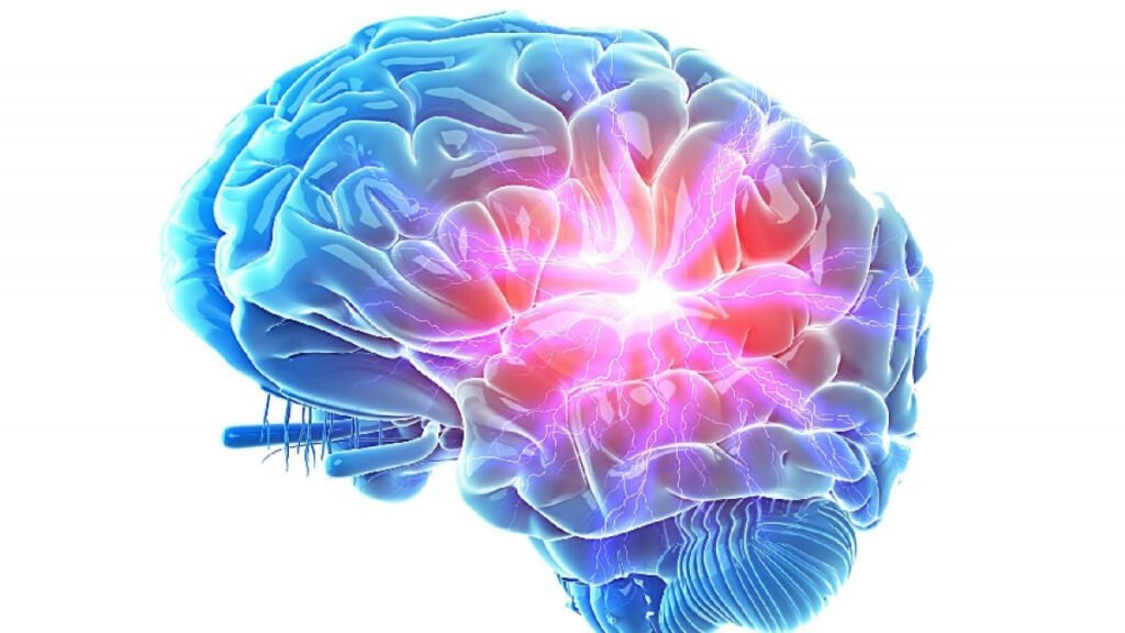 Estudios de neurociencia sobre hipoactividad y sus relaciones 1 estudios de neurociencia sobre hipoactividad y sus relaciones