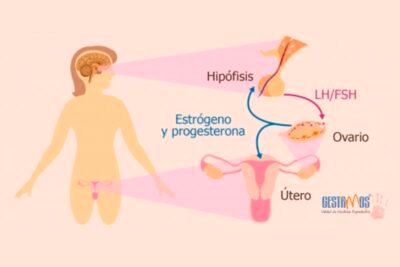 estudios hormonales de fertilidad que son y como ayudan