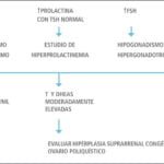 estudios influyentes sobre testosterona en endocrinologia