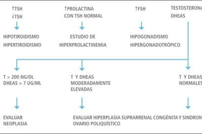 estudios necesarios para una evaluacion endocrina completa