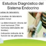 Estudios para diagnósticos endocrinológicos: Cuáles son