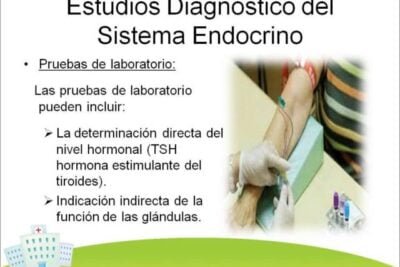 estudios para diagnosticos endocrinologicos cuales son