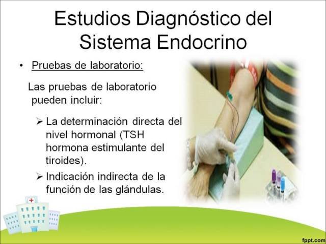 estudios para diagnosticos endocrinologicos cuales son