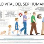 Etapas del crecimiento humano: recorrido y desarrollo vital